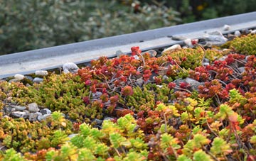 the cost of Kirkandrews On Eden green roof installation