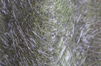 Kirkandrews On Eden fibreglass roof work